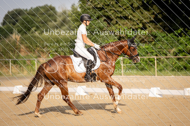 SD_Verl_06958 | saradresslerfotografie - Realisiert mit Pictrs.com