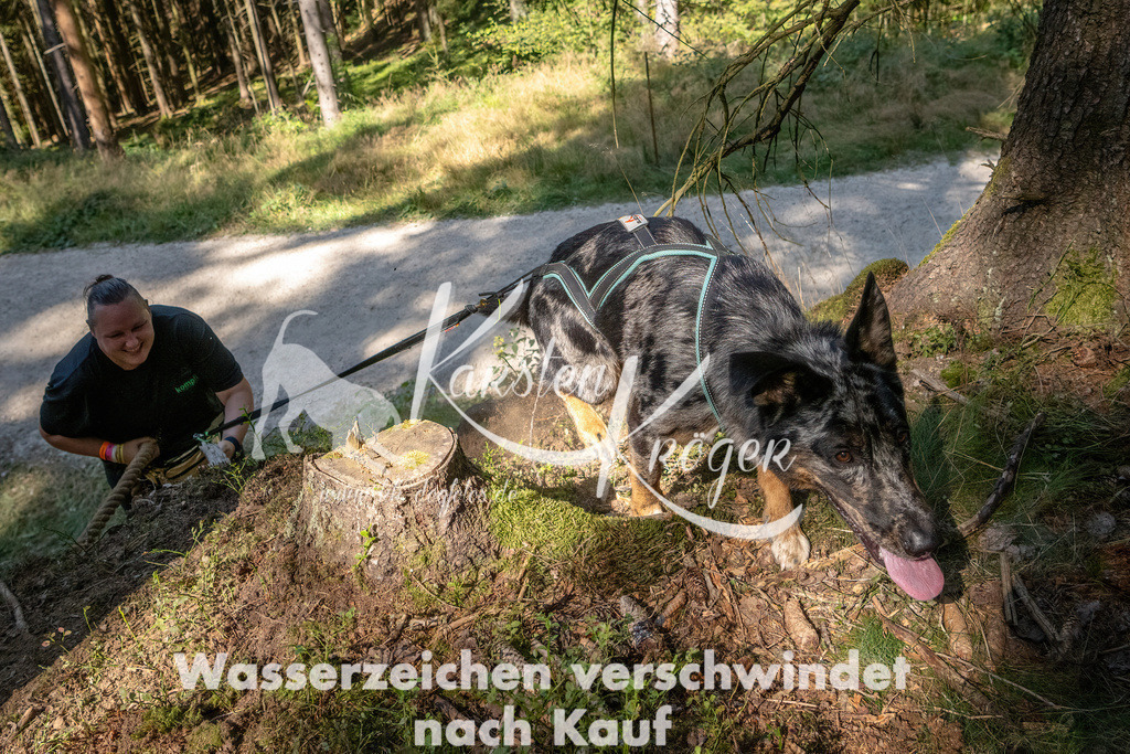 1241_ZZ90033 | kk-dogfotos