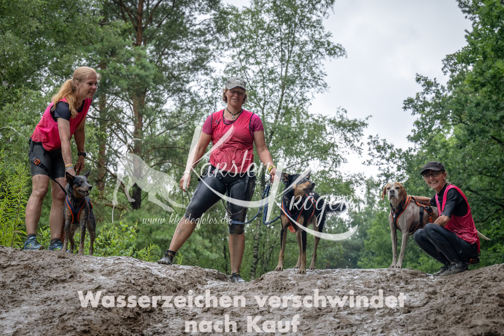 1342_ZZ91924 | kk-dogfotos