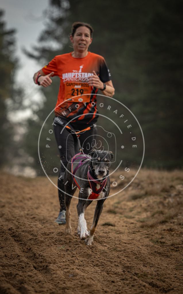 Pfotenfotografie_DV3A5353 | Hundefotografie, Tierfotograf, Pfotenfotografie, Fotoshooting Hund, Hunde Portrait, Hundesport, Hundeportraits, Heideshooting, Hunde, Sportfotograf, Hundefotograf, Turnierhundsport, THS,  - Realisiert mit Pictrs.com