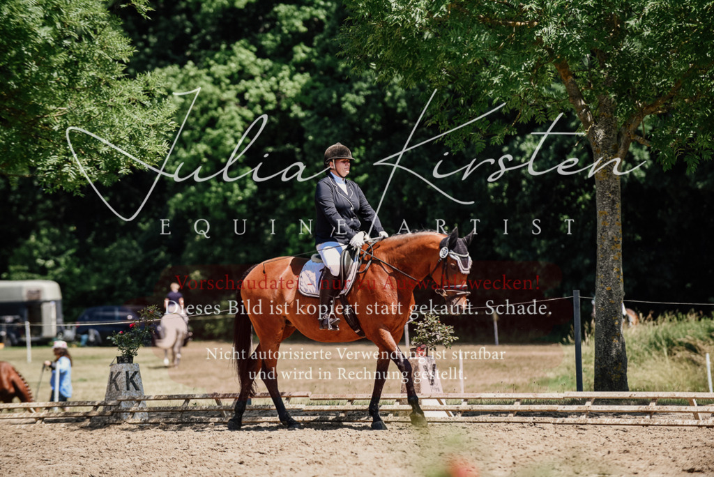 DSC_1994 | Pferde- und Turnierfotografie in Westsachsen. Pferdeportraits, Auftragszeichnungen und intuitive Kunst.