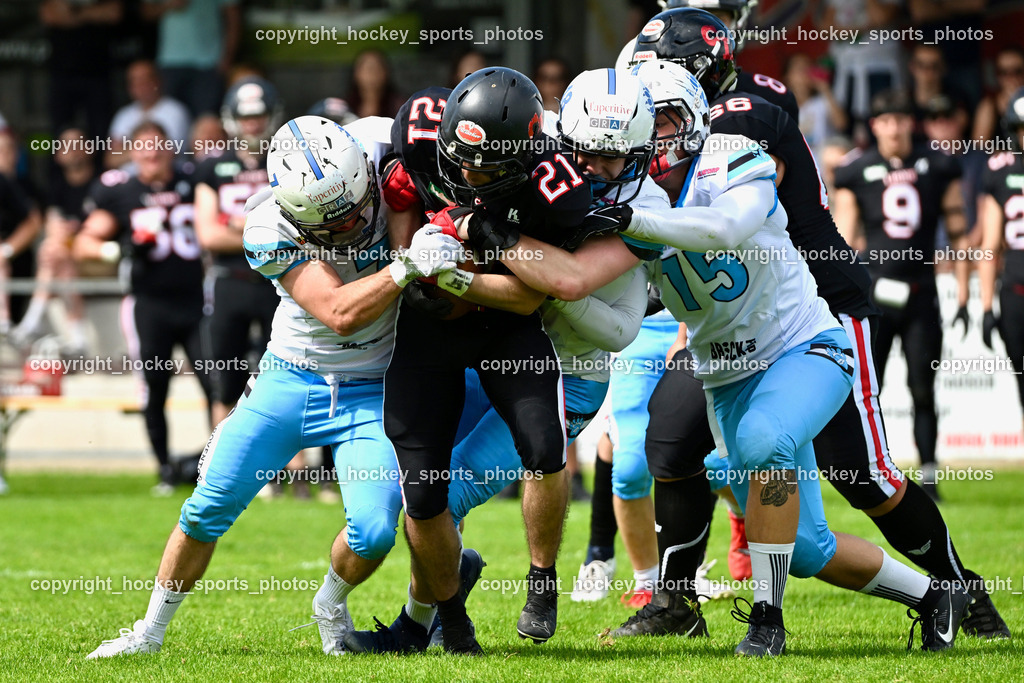 Carinthian Lions vs. Styrian Bears | Carinthian Lions vs. Styrian Bears, Carinthian Lions vs. Styrian Bears am 20.05.2024 in Klagenfurt (ASV Sportplatz), Austria, (Photo by Bernd Stefan)