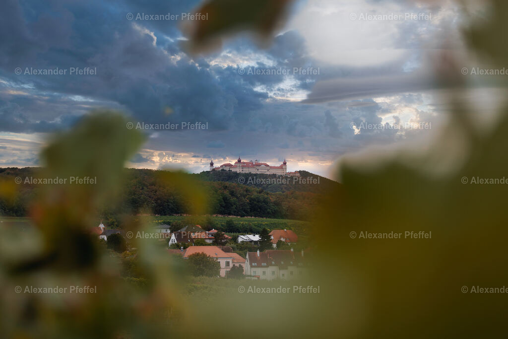 foto_c_pfeffel-partner-0025-R5_12358-Bearbeitet | alexander-pfeffel - Realisiert mit Pictrs.com