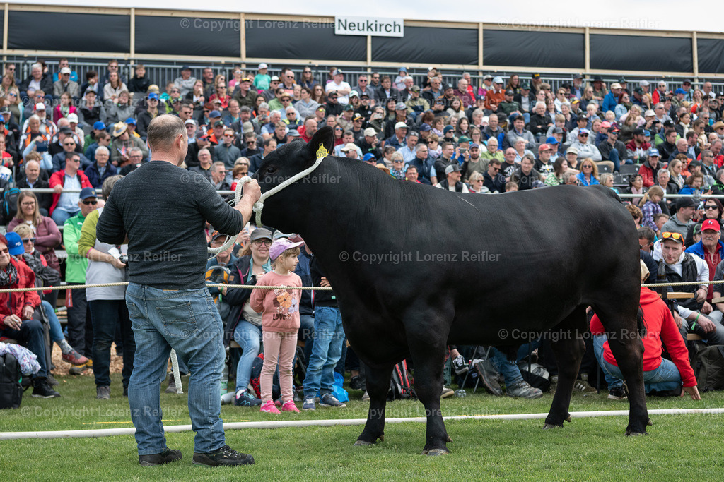 Schwingen -  TG Kantonal 2023 | Neukirch-Egnach, 30.4.23, Schwingen - TG Kantonal.
