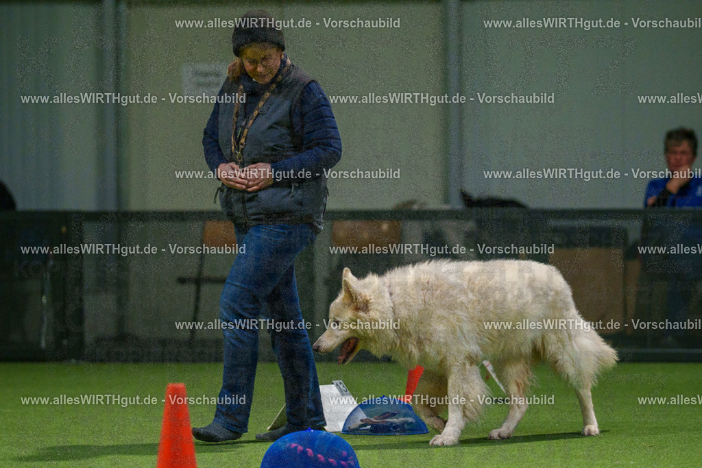 7R504208 | Professionelle Tierfotografie in Mönchengladbach von Daniel Wirth (allesWIRTHgut). Liebevolle & natürliche Bilder von Hunden & Katzen für unvergessliche Erinnerungen.