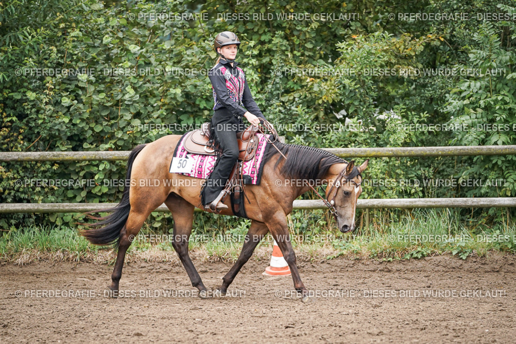 DSC02512 | Pferdegrafie