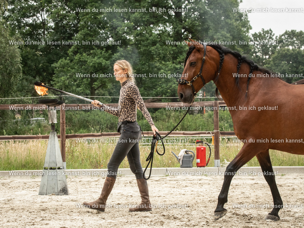 598A7624 | photographylinaismer - Realisiert mit Pictrs.com