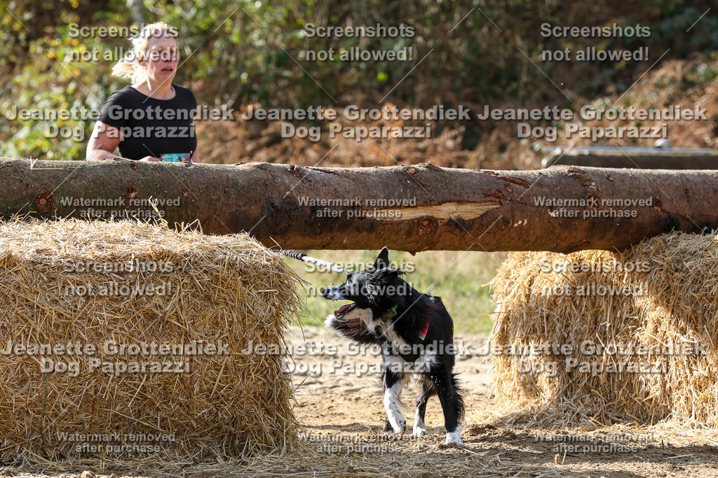 Dog Paparazzi - Strongdog 10-25-5809 | Dog Paparazzi Jeanette Grottendiek Fotografie & Videografie - Realisiert mit Pictrs.com