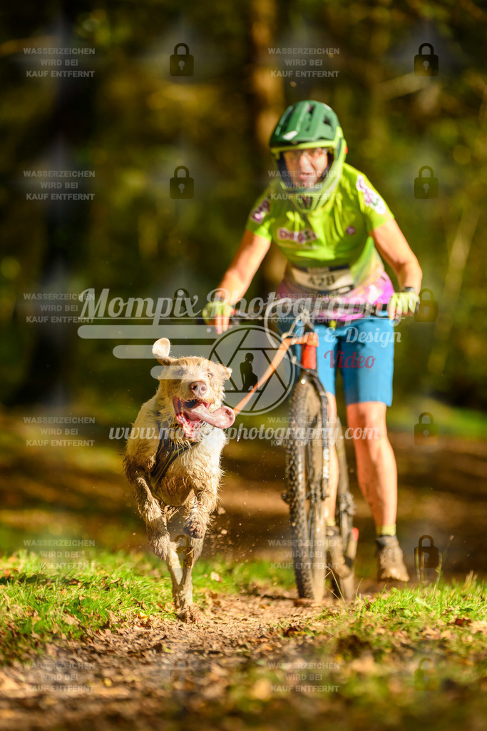 MompixPhotography_20TSB_E1_DS1-33 | PayLife