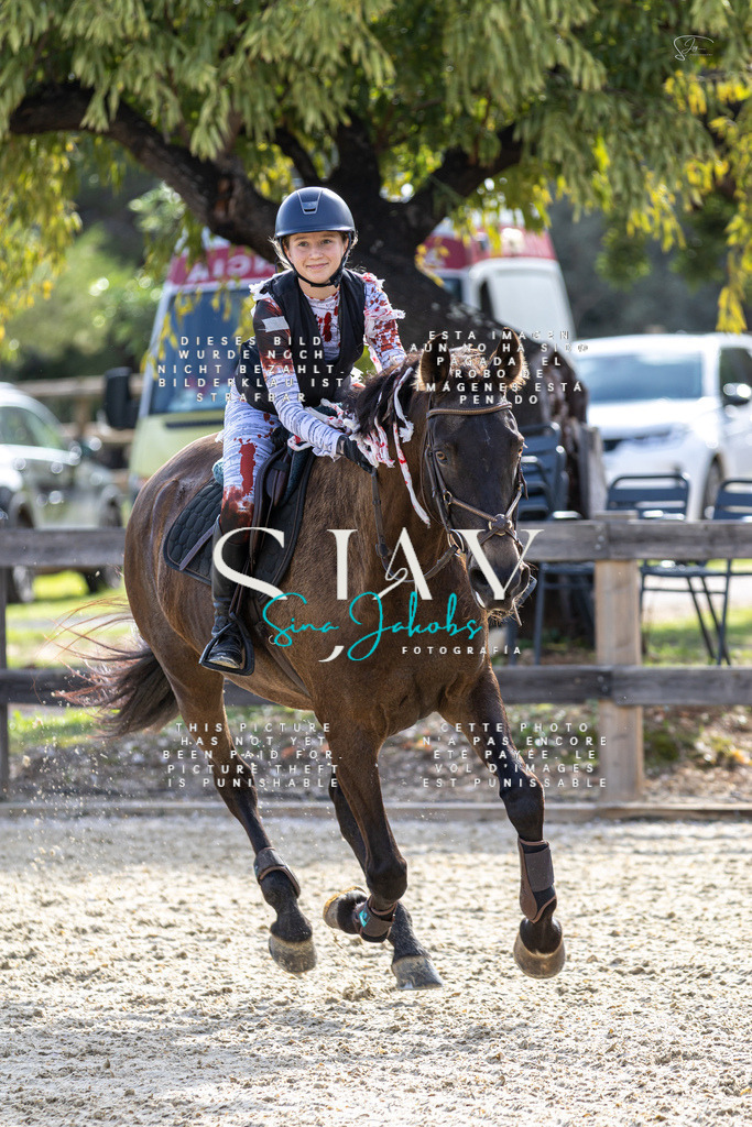 IMG_3531 | s-jay-photography - Realisiert mit Pictrs.com