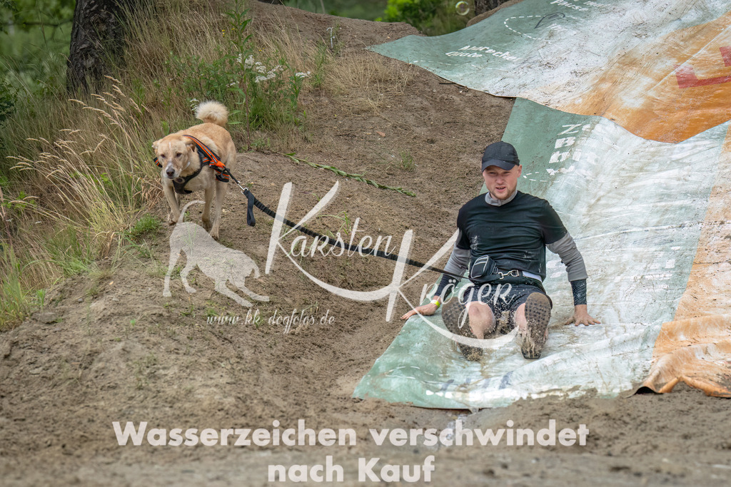 1443_ZZ91611-Bearbeitet | kk-dogfotos