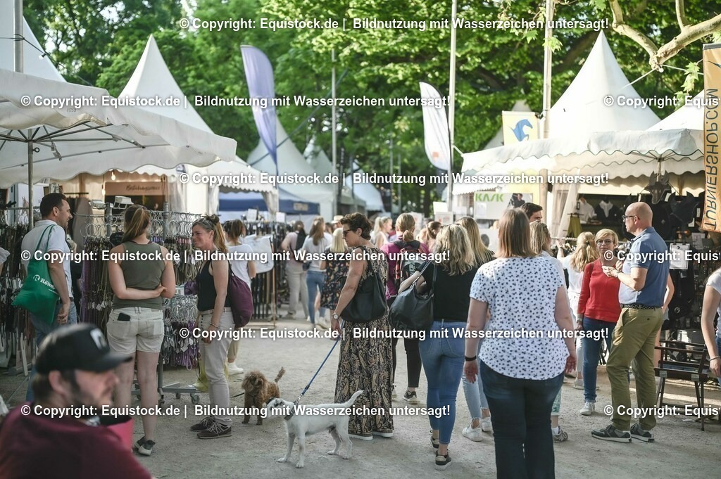 D78_3757 | equistock