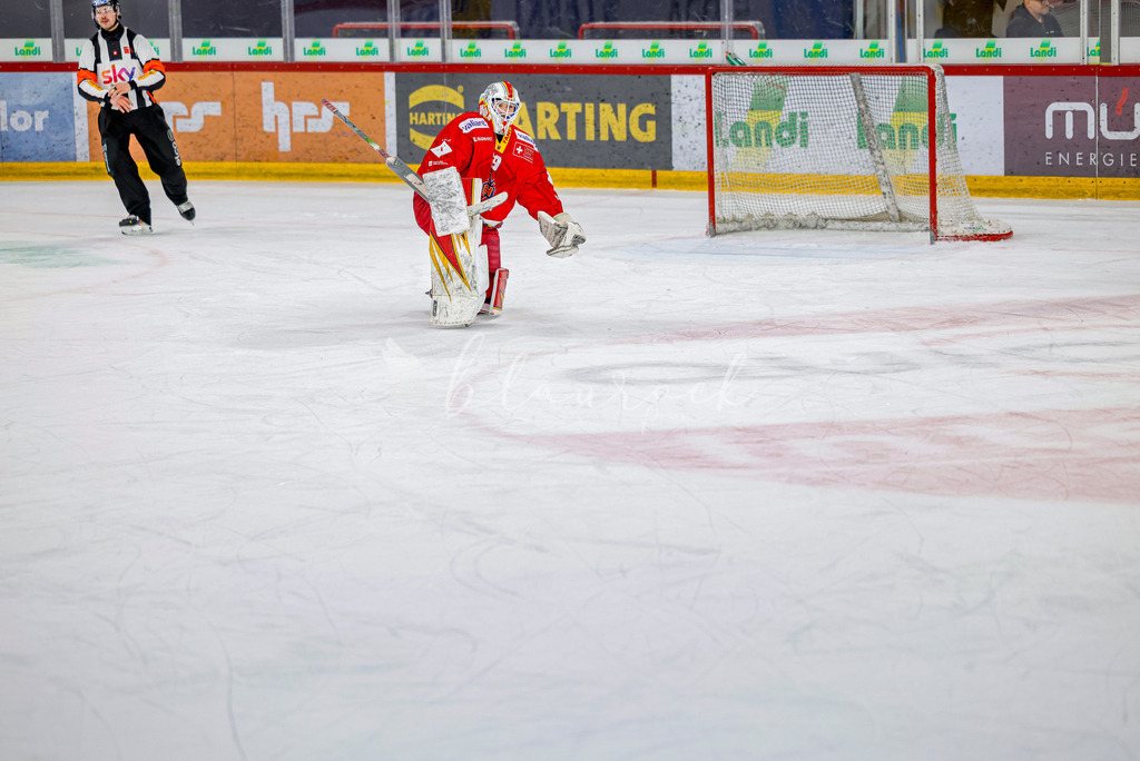 EHCB vs HCD-1706 | Sportbilder, Sportfotograf, Hochzeits- und Eventfotografin, Flugshows, Portraits und Tiershooting, Aviation, Downhill, Nationalleague, Swissleague, International