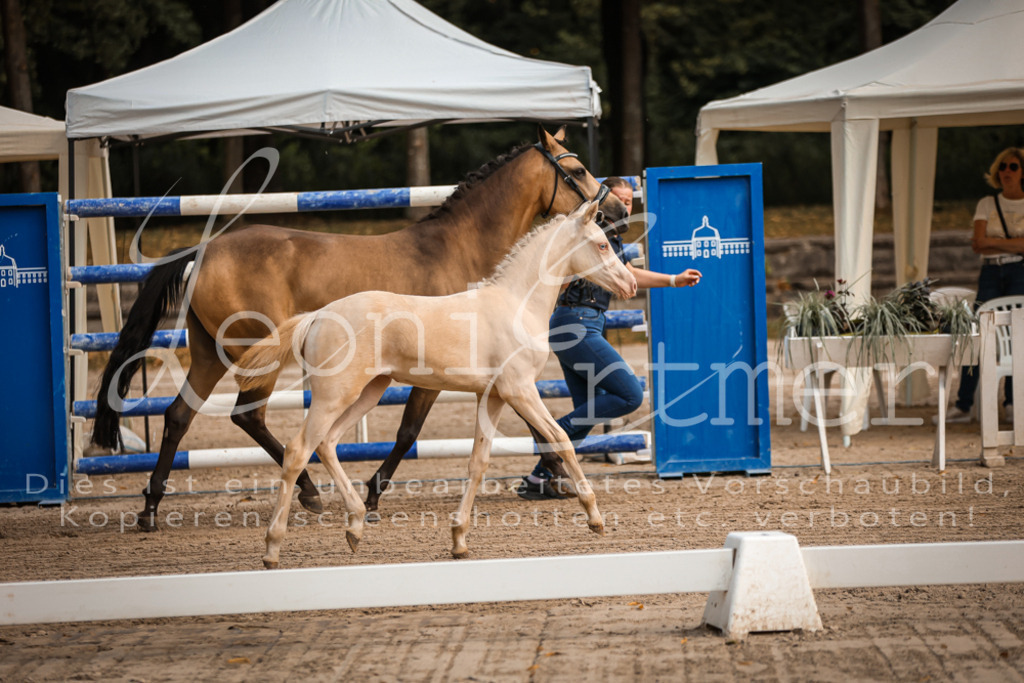 10.DoRP00049 | Leoni Ertmer Photography - Realisiert mit Pictrs.com