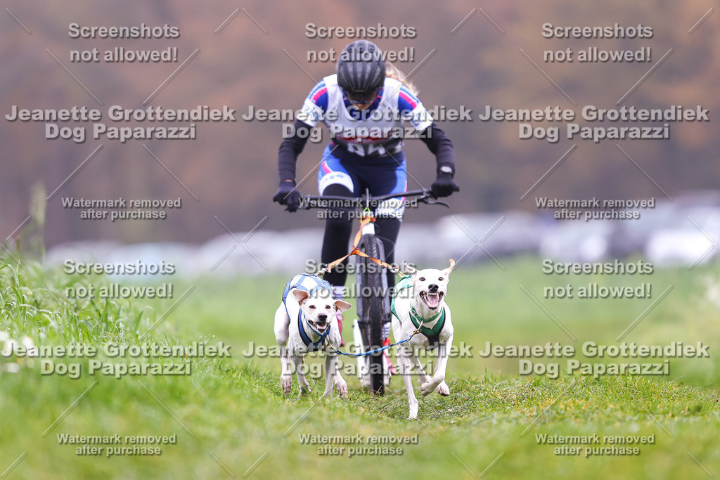 Dog Paparazzi - Visbeck 25 -94 | Dog Paparazzi Jeanette Grottendiek Fotografie & Videografie - Realisiert mit Pictrs.com