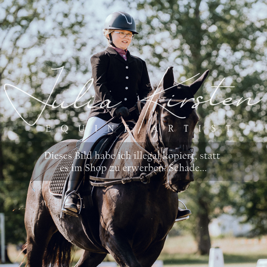DSC_6894 | Pferde- und Turnierfotografie in Westsachsen. Pferdeportraits, Auftragszeichnungen und intuitive Kunst.