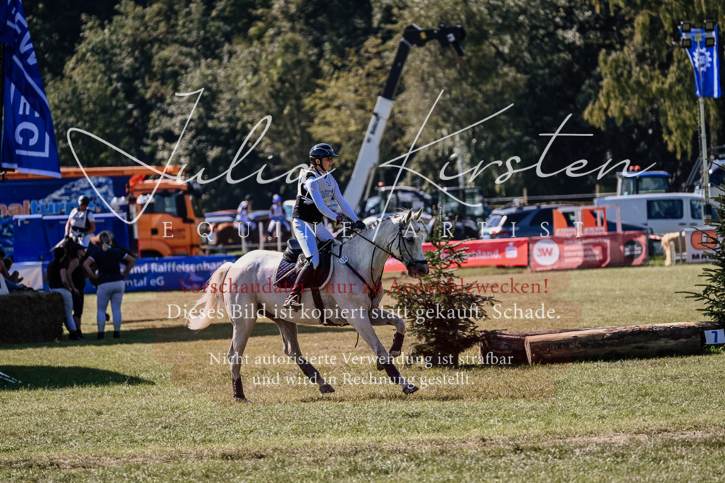 DSC_2043 | Pferde- und Turnierfotografie in Westsachsen. Pferdeportraits, Auftragszeichnungen und intuitive Kunst.