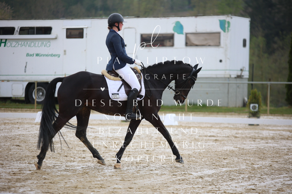 IMGT2758 | pl-fotografie