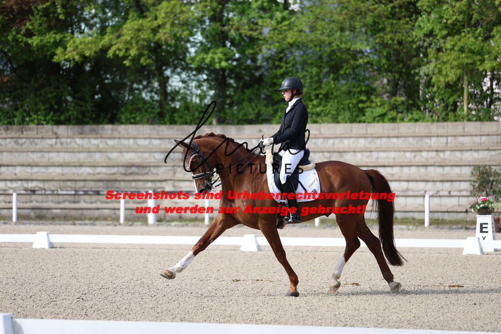 A40A3425 | lmwpictures - Realisiert mit Pictrs.com