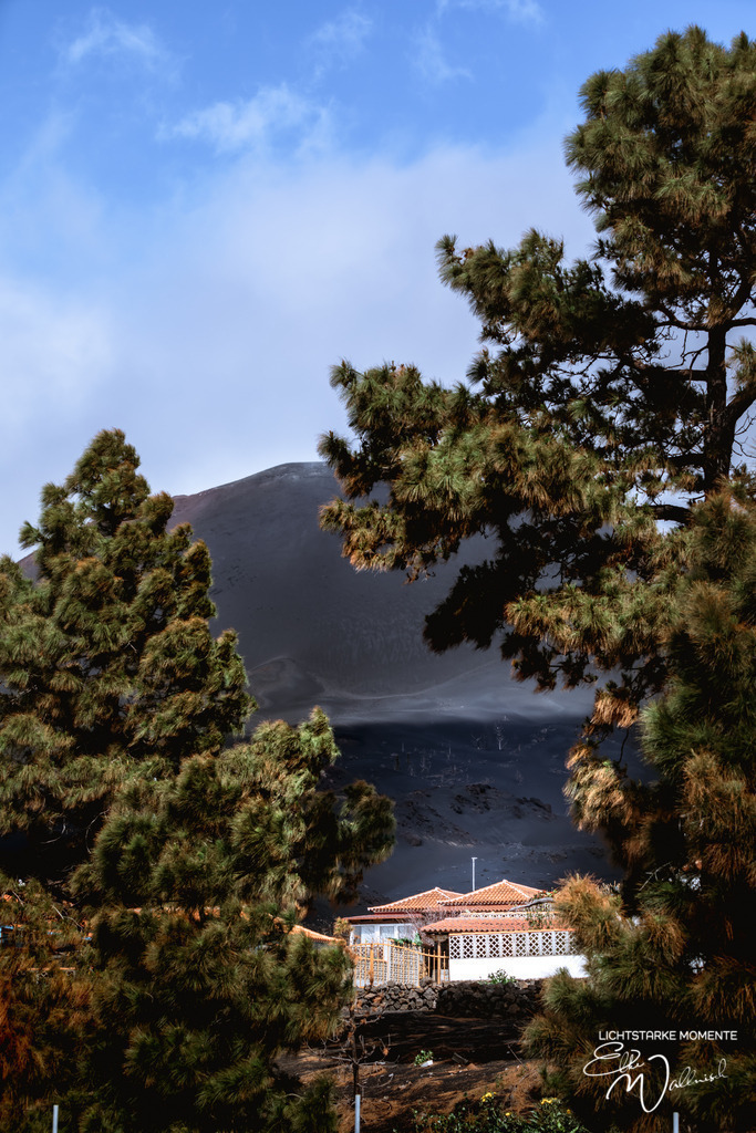 20250322-152955 LA PALMA_193-3 | Herzlich willkommen auf meiner Seite! Ich bin Elke Wallnisch, Deine Fotografin für lichtstarke Momente. Der Name steht für alles, was mich mit der Fotografie verbindet: Das Licht und seine machtvolle Wirkung auf eine Situation oder unsere Stimmung - Realisiert mit Pictrs.com