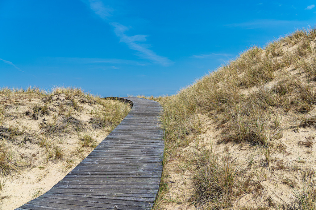 Landschaft in den Dünen bei Norddorf auf der Insel Amrum | Landschaft in den Dünen bei Norddorf auf der Insel Amrum.