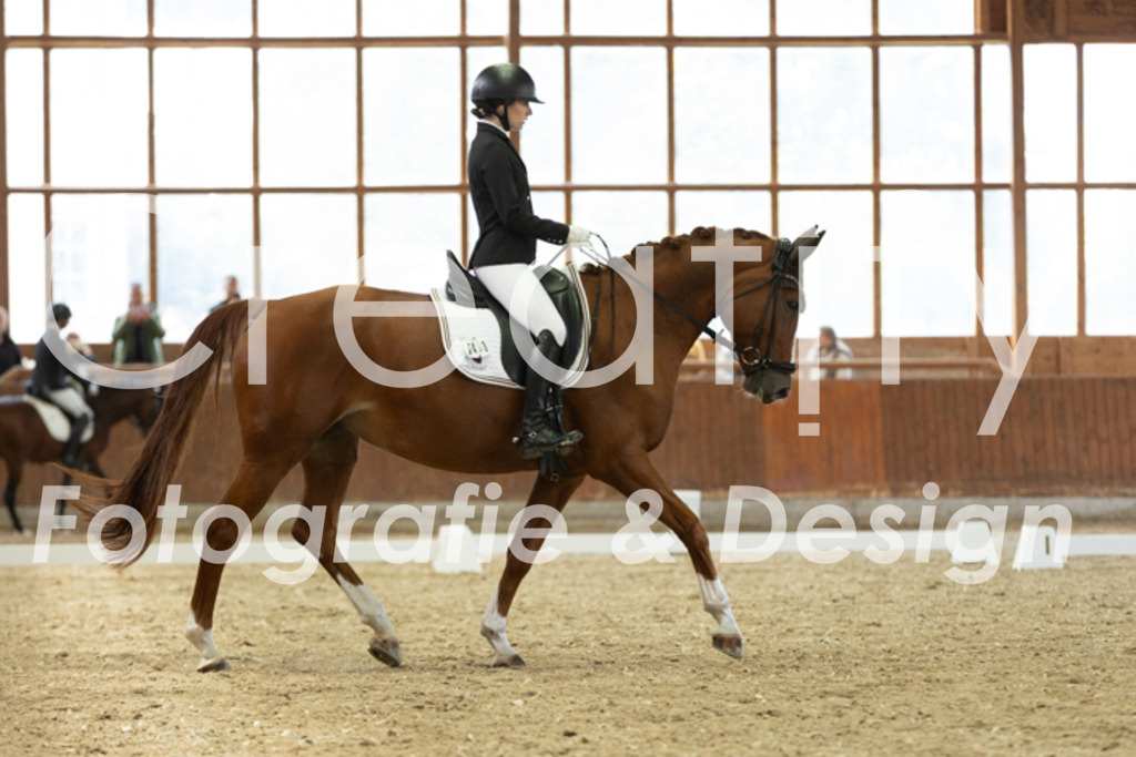 IMG_5862 | Creatify Fotografie