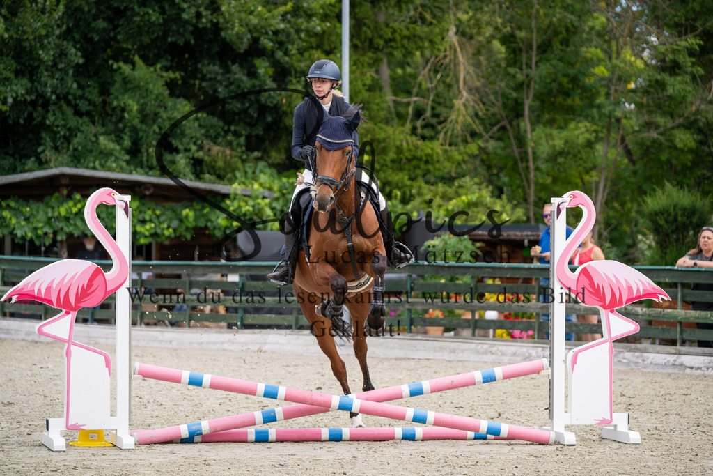 A7V07163 | Pferdefotograf