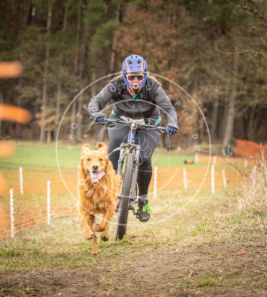 DV3A1111 | Hundefotografie, Tierfotograf, Pfotenfotografie, Fotoshooting Hund, Hunde Portrait, Hundesport, Hundeportraits, Heideshooting, Hunde, Sportfotograf, Hundefotograf, Turnierhundsport, THS,  - Realisiert mit Pictrs.com