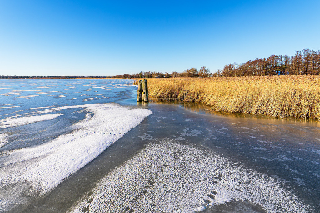 Schilf und Dalben am Bodden bei Wieck auf dem Fischland-Darß im Winter | Schilf und Dalben am Bodden bei Wieck auf dem Fischland-Darß im Winter.