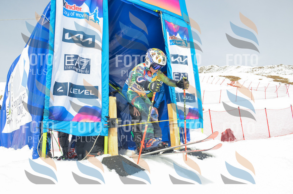 _ELE8310 | holidayphoto