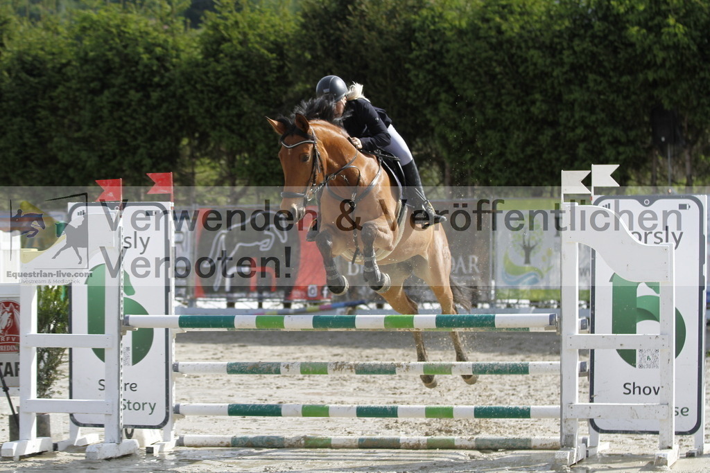 _MG_2488 | equestrian-live-com