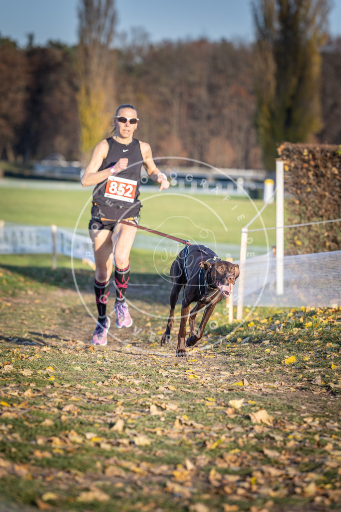 CaniXpix_DV3A3897 | Hundefotografie, Tierfotograf, Pfotenfotografie, Fotoshooting Hund, Hunde Portrait, Hundesport, Hundeportraits, Heideshooting, Hunde, Sportfotograf, Hundefotograf, Turnierhundsport, THS,  - Realisiert mit Pictrs.com