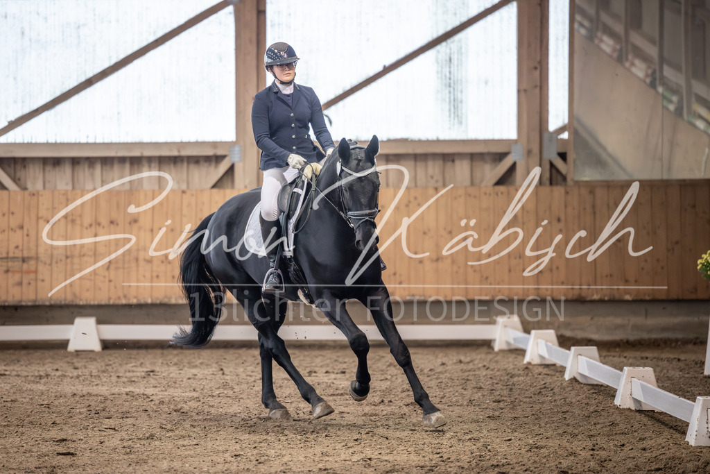 20251011-_3LI0351 | Tierfotografie Pferde, Hunde, Katzen, Haustiere.
Turnierfotografie Reitturniere, Reiten, Springreiten, Dressur in Hanau, dem Main-Kinzig-Kreis und dem Rhein-Main- Gebiet um Frankfurt