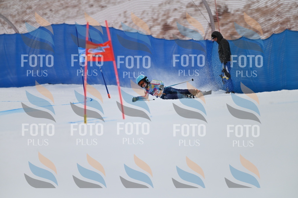 BGV_0390 | holidayphoto