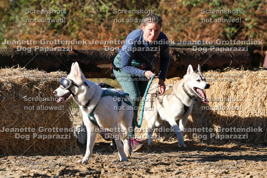 Dog Paparazzi - Strongdog 10-25-1682 | Dog Paparazzi Jeanette Grottendiek Fotografie & Videografie - Realisiert mit Pictrs.com