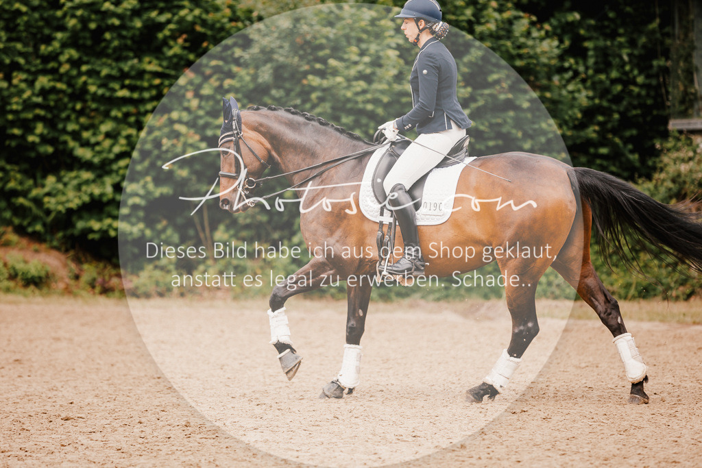 3I6A7897 | Stimmungsvolle Portraits und Reitsportfotografie im Ruhrgebiet und im Münsterland.

Pferdefotografie, Hundefotografie, Tierfotografie, Reportagen, Portraits von Tier und Mensch, Turnierfotografie in Bochum, Recklinghausen, Marl, Haltern am See, Dülmen.. - Realisiert mit Pictrs.com