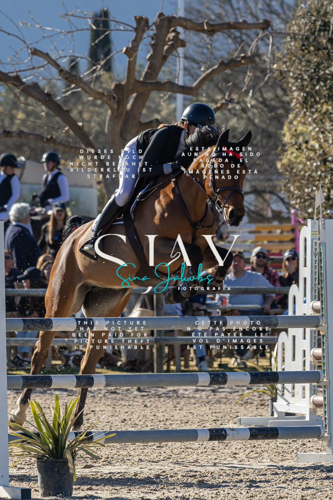 IMG_1818 | s-jay-photography - Realisiert mit Pictrs.com