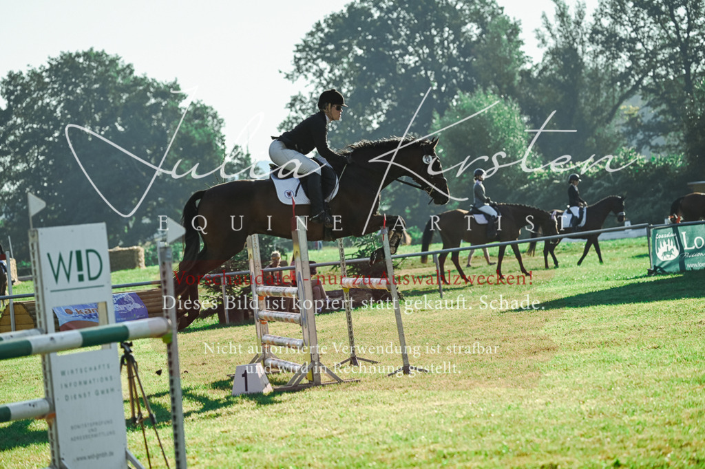 DSC_4348 | Pferde- und Turnierfotografie in Westsachsen. Pferdeportraits, Auftragszeichnungen und intuitive Kunst.
