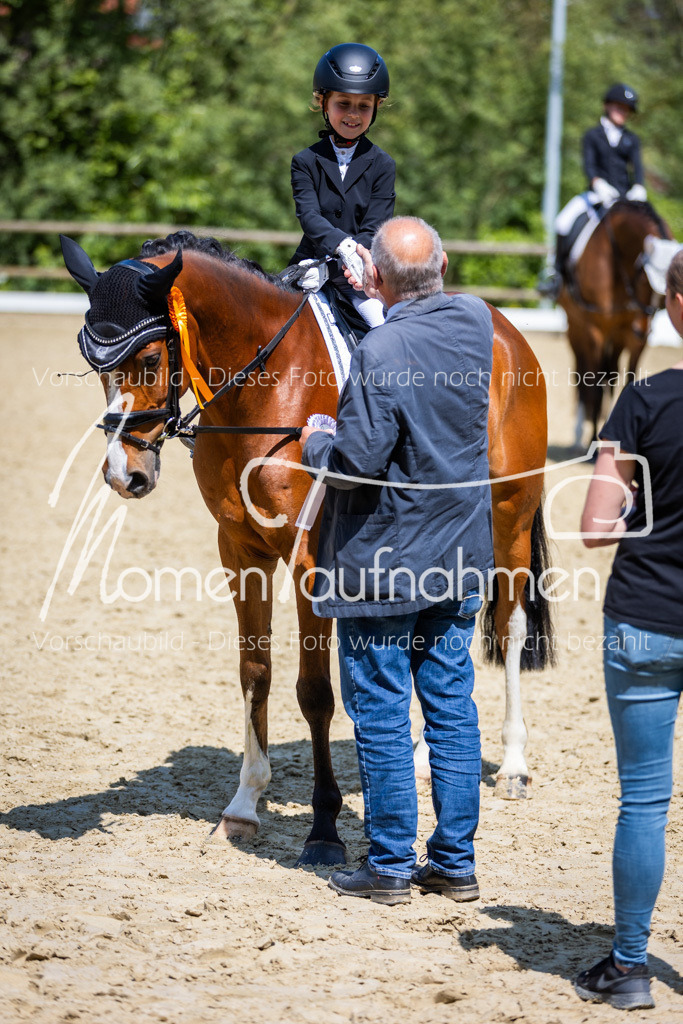 Donop24-RWB-059 | MomenTaufnahmen Pferdesportfotos