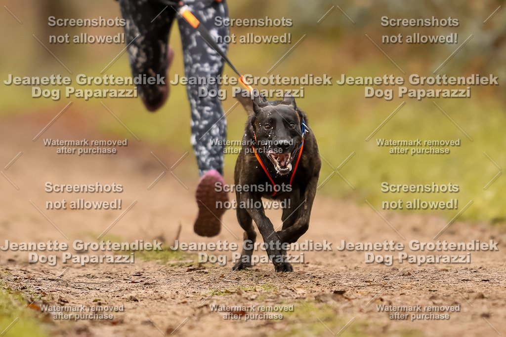 Dog Paparazzi - Speedhunter Mannheim  2025-248 | Dog Paparazzi Jeanette Grottendiek Fotografie & Videografie