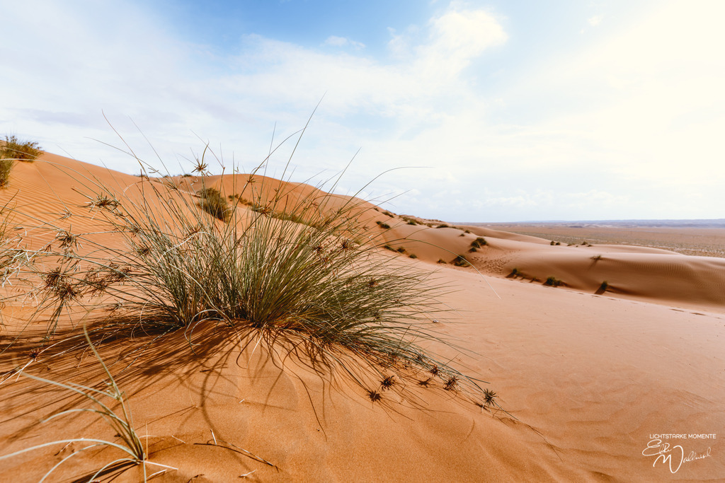 Al Salam Desert Camp, Al Qabil, Bidiyya, Oman | Herzlich willkommen auf meiner Seite! Ich bin Elke Wallnisch, Deine Fotografin für lichtstarke Momente. Der Name steht für alles, was mich mit der Fotografie verbindet: Das Licht und seine machtvolle Wirkung auf eine Situation oder unsere Stimmung - Realisiert mit Pictrs.com