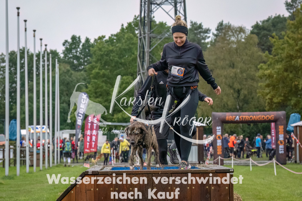 1206--12 | kk-dogfotos