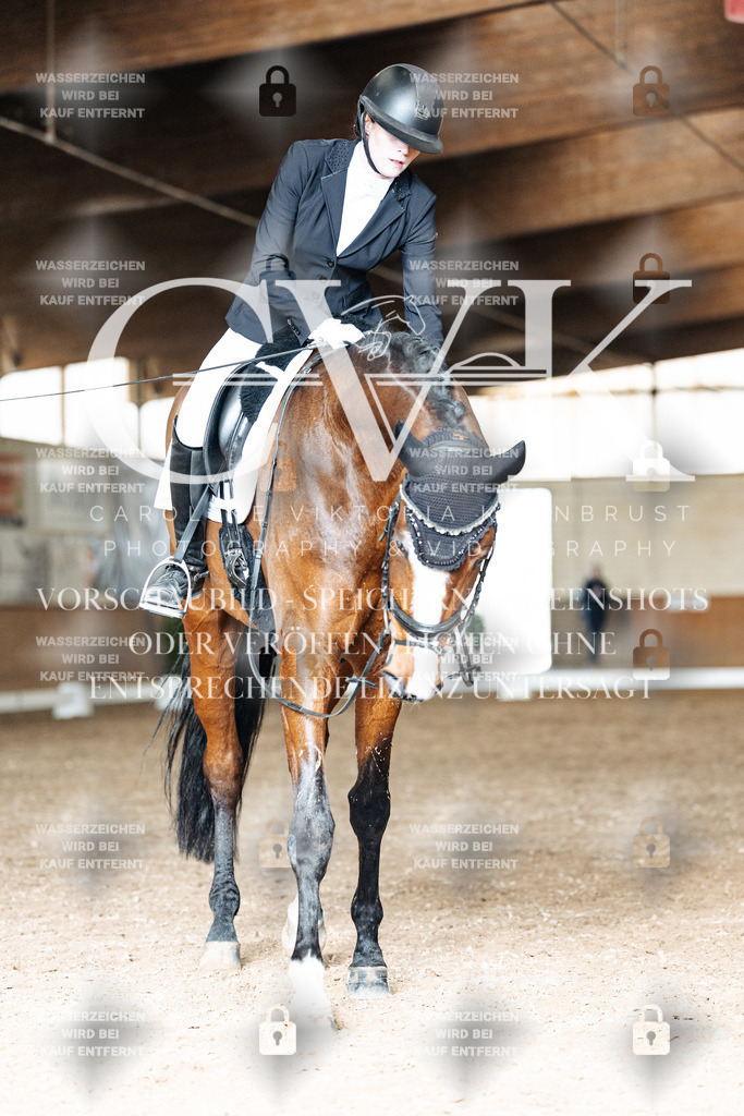 CK901810 | Turnierfotografie Pferdefotografie Trier Rheinland-Pfalz Pferdesport Reitsport Tierfotografie Sportfotografie Pferdevideo Pferdevideografie Equestrianvideography equestrianphotography  - Realisiert mit Pictrs.com