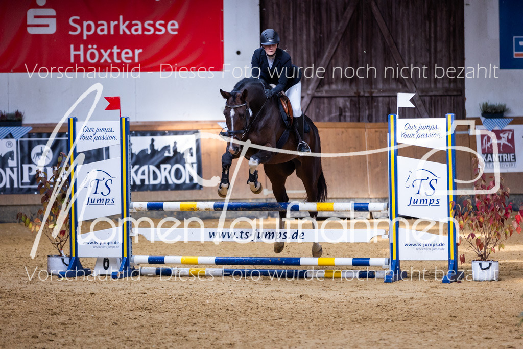 Sth-A-Springen-063 | MomenTaufnahmen Pferdesportfotos