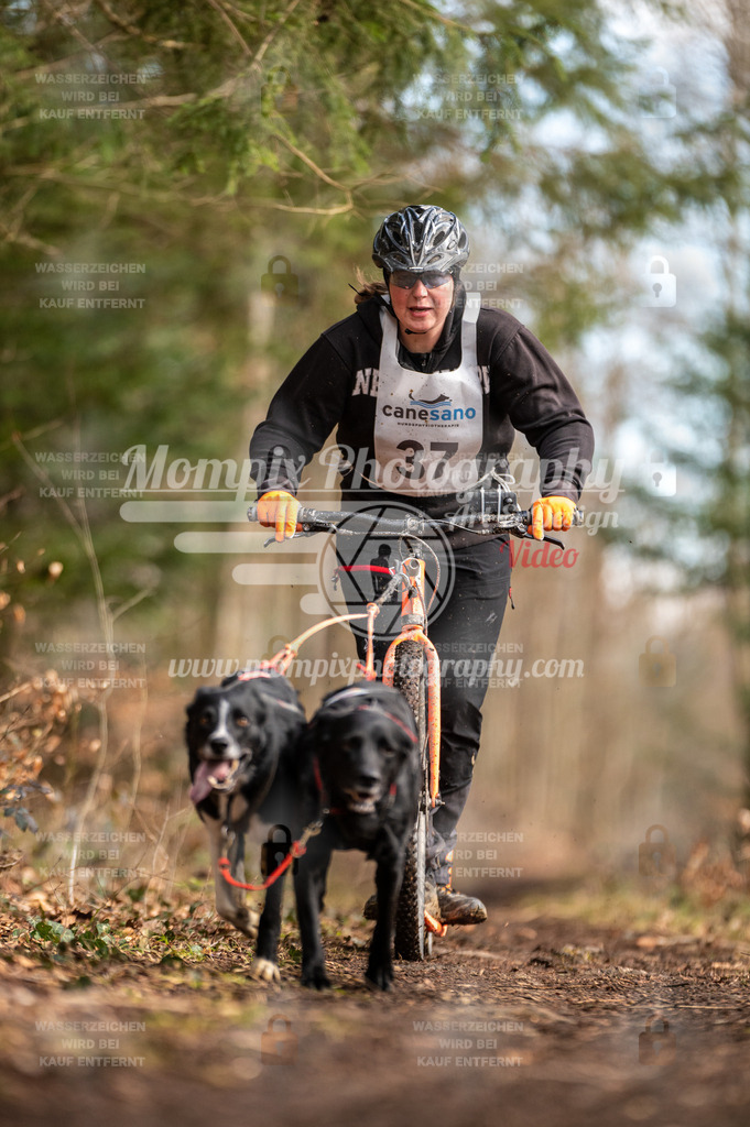 Reiat2023_SAM_DS2_5km_2H-9 | PayLife