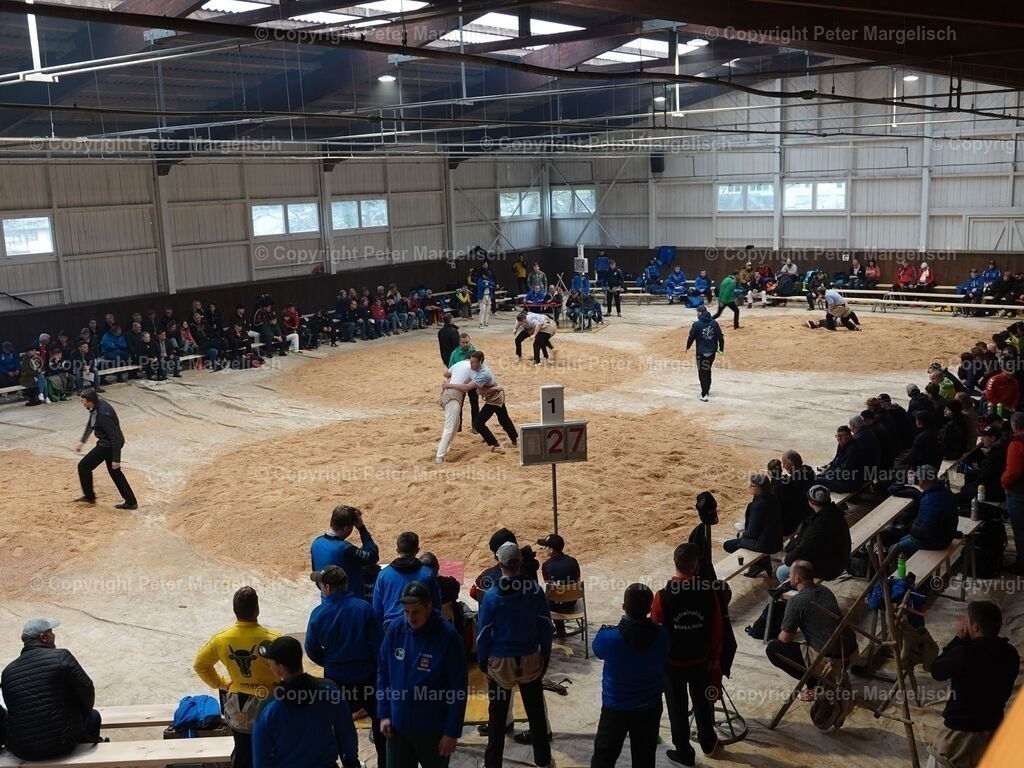 k-DSC06089 | Schwingen - Realisiert mit Pictrs.com