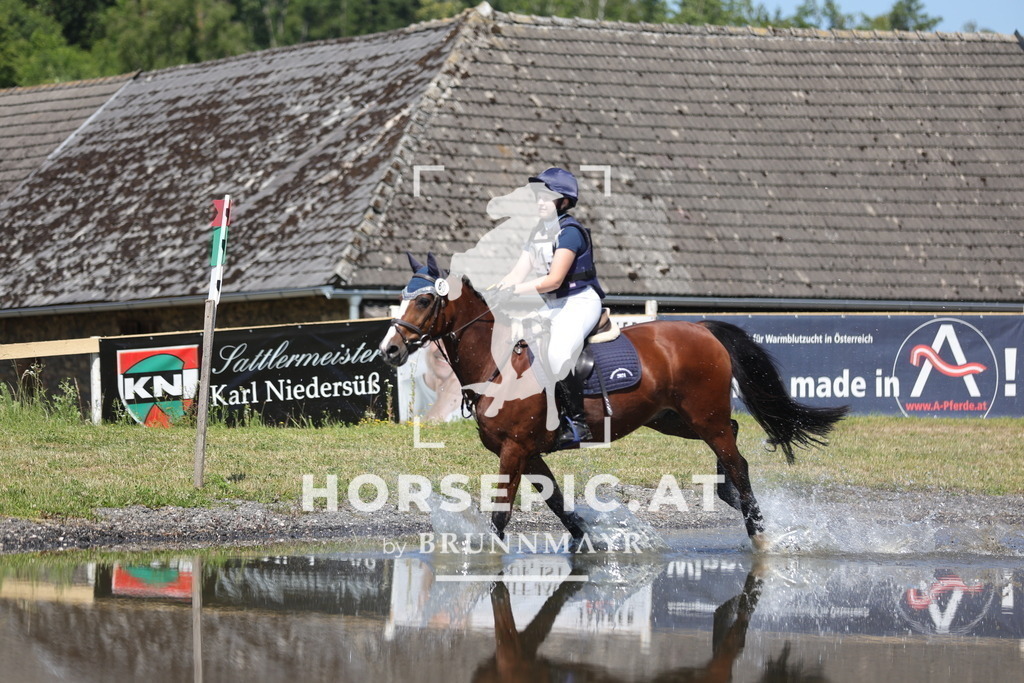 0P6A3494 | Willkommen bei Brunnmayr - Design & Fotografie – Ihrem Spezialisten für Reitturniere und Pferdeveranstaltungen in Oberösterreich, Salzburg und Bayern! Seit über 17 Jahren sind wir leidenschaftlich dabei.