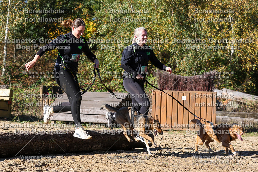 Dog Paparazzi - Strongdog 10-25-2677 | Dog Paparazzi Jeanette Grottendiek Fotografie & Videografie - Realisiert mit Pictrs.com