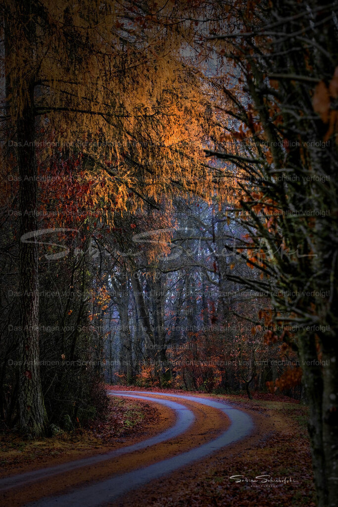 Der Weg ist das Ziel | People- und Tierfotografie, Imageaufnahmen, Veranstaltungsfotografie und Wandbilder aus der Natur ★ Made in Germany ✔️ Druck + Downloads ✔️ Naturfotografie in Top Qualität ★ schneller Versand, weltweite Lieferung! - Realisiert mit Pictrs.com