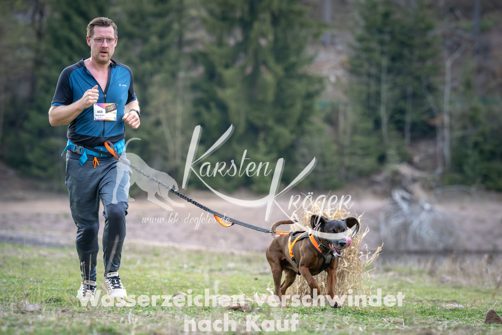 1817_ZZ95258 | kk-dogfotos